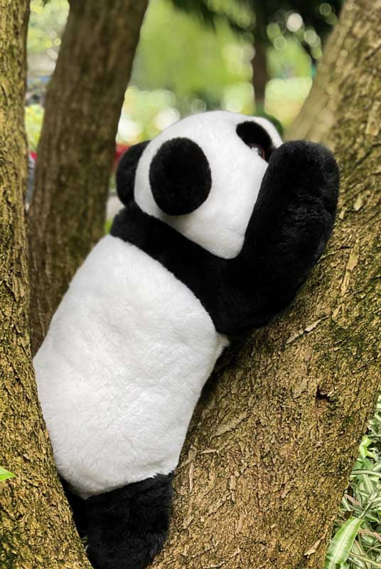 Qizai Panda Plush: Realistic 16 Brown Panda Stuffed Animal